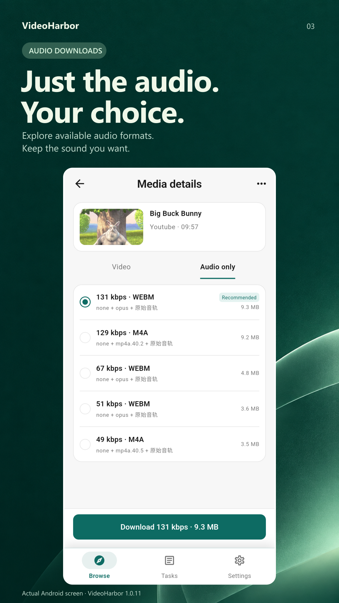 VideoHarbor audio format selection with audio-only options and the download button